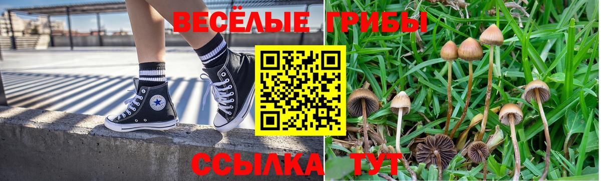 Галлюциногенные грибы GOLDEN TEACHER  Вход с VPN  что такое   Верхняя Салда 